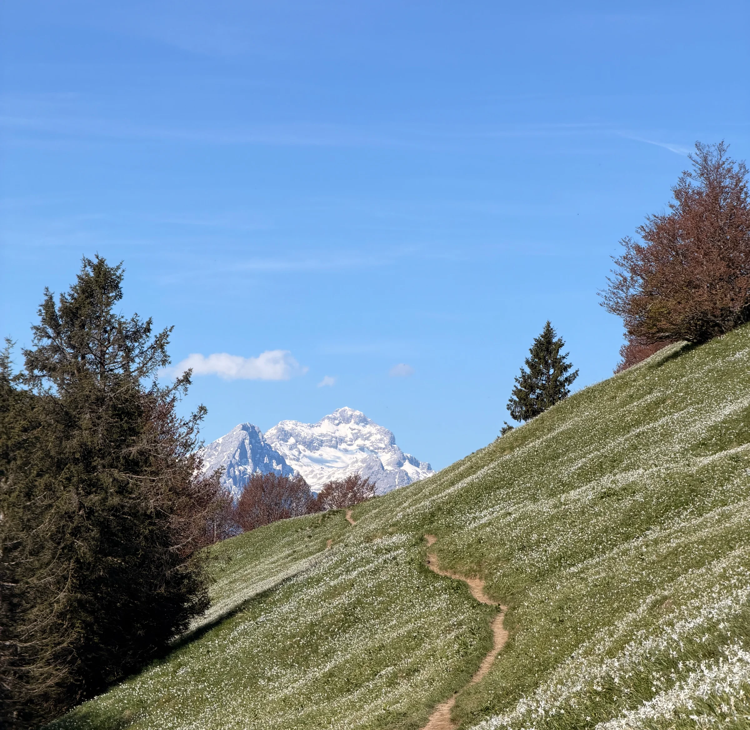 Golica – fotografija s poti
