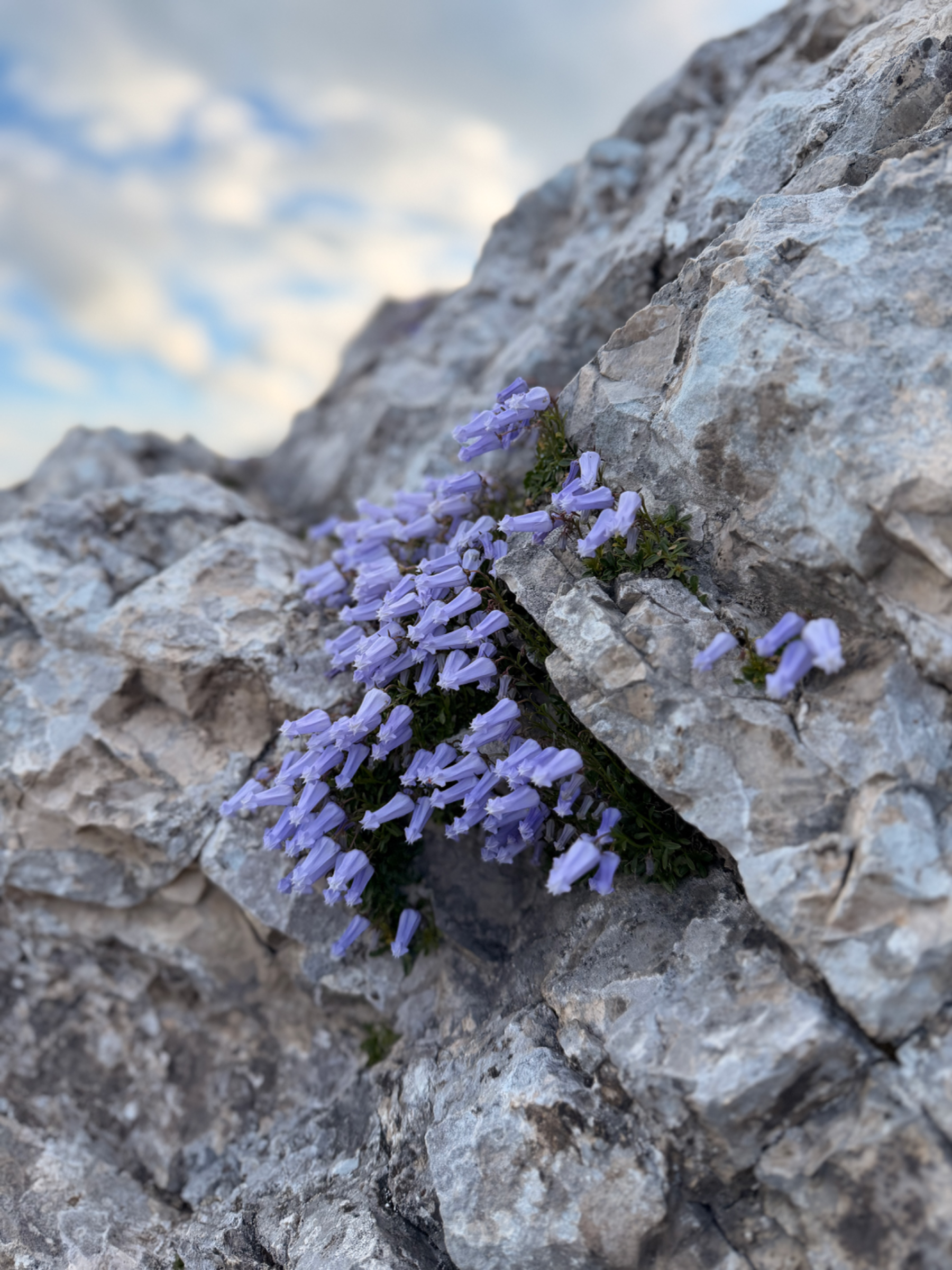 Mala Mojstrovka – fotografija s poti