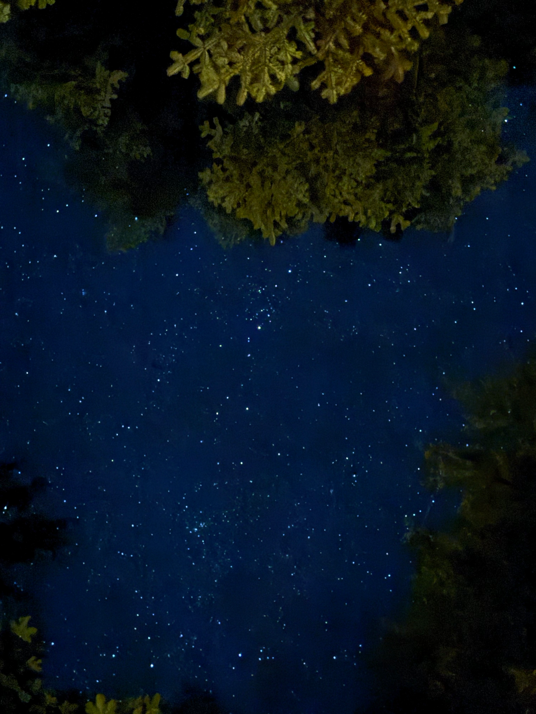 Storžič – fotografija s poti