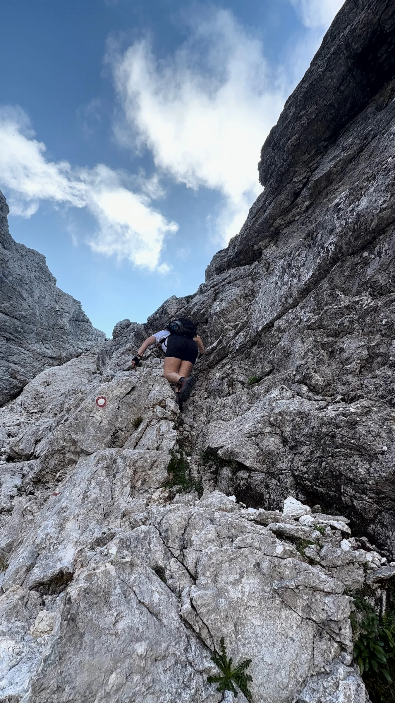 Prisank / Prisojnik – fotografija s poti