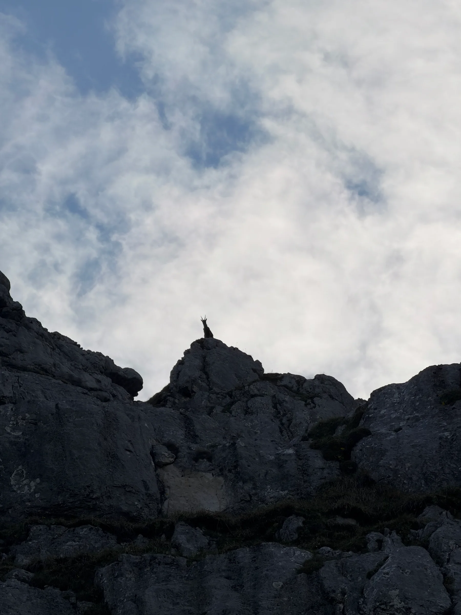 Špik Hude police / Cima di Terrarossa – fotografija s poti