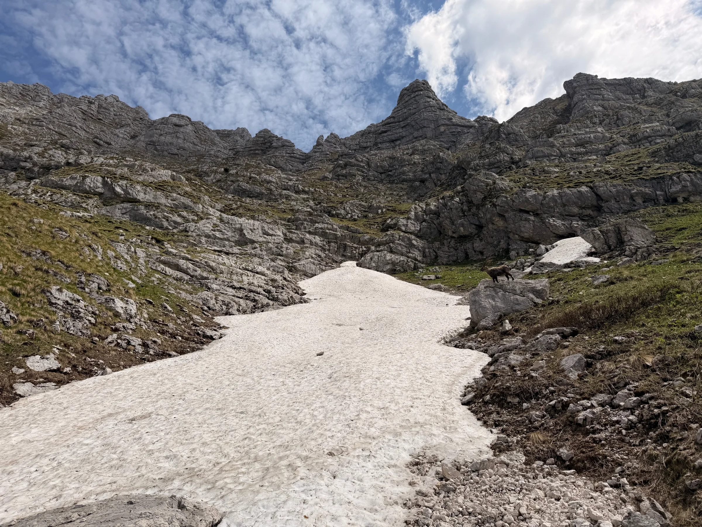 Špik Hude police / Cima di Terrarossa – fotografija s poti